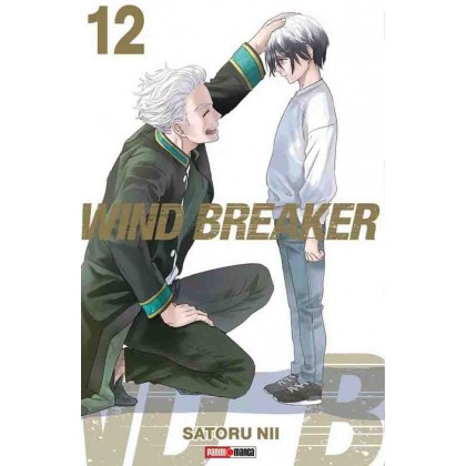 Wind Breaker 12